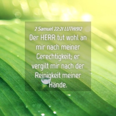 Picture 04 - 2 Samuel 22:21 LUTH1912 - Der HERR tut wohl an mir nach meiner - Bible Verse Picture