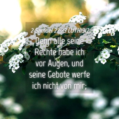 Picture 04 - 2 Samuel 22:23 LUTH1912 - Denn alle seine Rechte habe ich vor Augen, und - Bible Verse Picture