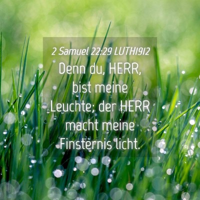 Picture 04 - 2 Samuel 22:29 LUTH1912 - Denn du, HERR, bist meine Leuchte; der HERR macht - Bible Verse Picture