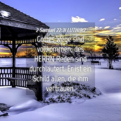 Picture 04 - 2 Samuel 22:31 LUTH1912 - Gottes Wege sind vollkommen; des HERRN Reden sind - Bible Verse Picture
