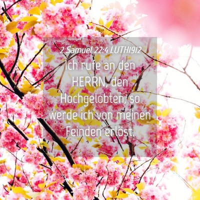 Picture 04 - 2 Samuel 22:4 LUTH1912 - Ich rufe an den HERRN, den Hochgelobten, so werde - Bible Verse Picture