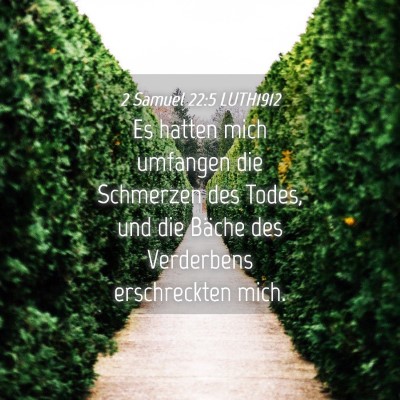 Picture 04 - 2 Samuel 22:5 LUTH1912 - Es hatten mich umfangen die Schmerzen des Todes, - Bible Verse Picture