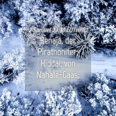 Picture 04 - 2 Samuel 23:30 LUTH1912 - Benaja, der Pirathoniter; Hiddai, von - Bible Verse Picture