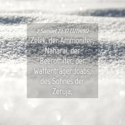 Picture 04 - 2 Samuel 23:37 LUTH1912 - Zelek, der Ammoniter; Naharai, der Beerothiter, - Bible Verse Picture