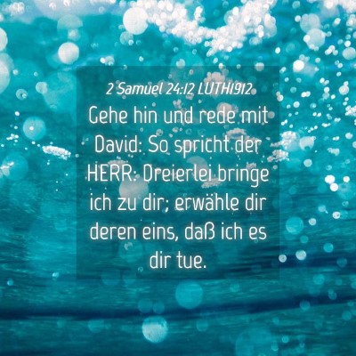 Picture 04 - 2 Samuel 24:12 LUTH1912 - Gehe hin und rede mit David: So spricht der HERR: - Bible Verse Picture