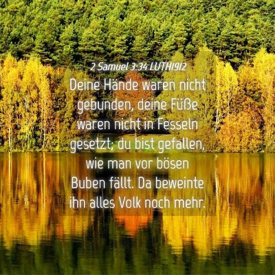 Picture 04 - 2 Samuel 3:34 LUTH1912 - Deine Hände waren nicht gebunden, deine Füße - Bible Verse Picture