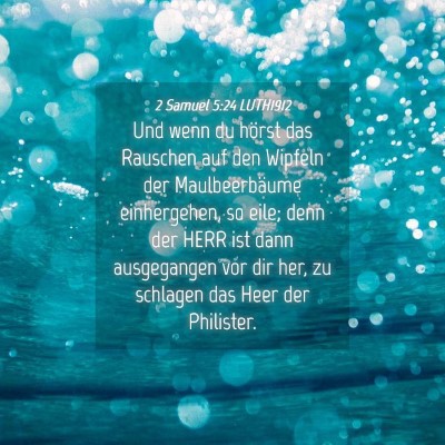 Picture 04 - 2 Samuel 5:24 LUTH1912 - Und wenn du hörst das Rauschen auf den Wipfeln - Bible Verse Picture