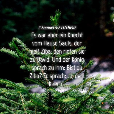 Picture 04 - 2 Samuel 9:2 LUTH1912 - Es war aber ein Knecht vom Hause Sauls, der hieß - Bible Verse Picture