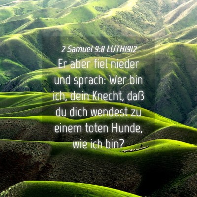Picture 04 - 2 Samuel 9:8 LUTH1912 - Er aber fiel nieder und sprach: Wer bin ich, dein - Bible Verse Picture