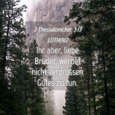 Picture 04 - 2 Thessalonicher 3:13 LUTH1912 - Ihr aber, liebe Brüder, werdet nicht verdrossen - Bible Verse Picture