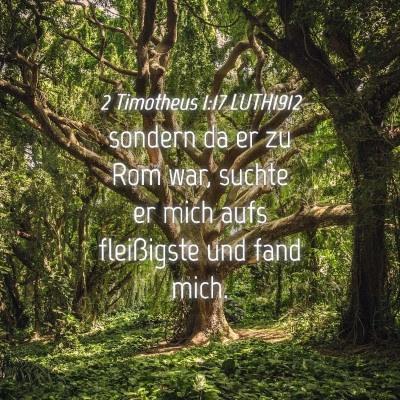 Picture 04 - 2 Timotheus 1:17 LUTH1912 - sondern da er zu Rom war, suchte er mich aufs - Bible Verse Picture