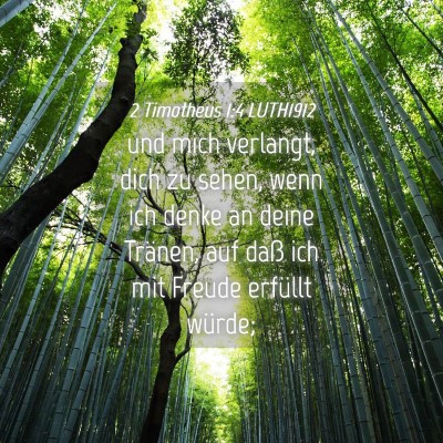 Picture 04 - 2 Timotheus 1:4 LUTH1912 - und mich verlangt, dich zu sehen, wenn ich denke - Bible Verse Picture