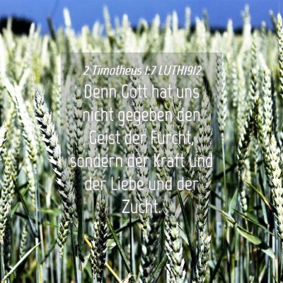 Picture 04 - 2 Timotheus 1:7 LUTH1912 - Denn Gott hat uns nicht gegeben den Geist der - Bible Verse Picture