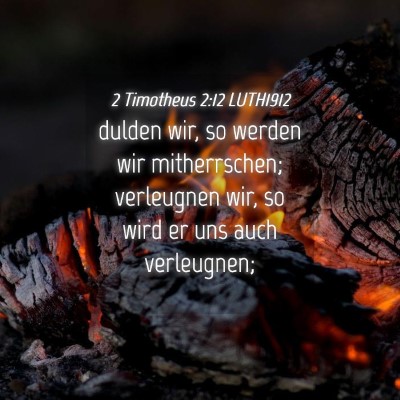 Picture 04 - 2 Timotheus 2:12 LUTH1912 - dulden wir, so werden wir mitherrschen; - Bible Verse Picture