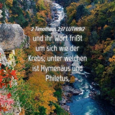 Picture 04 - 2 Timotheus 2:17 LUTH1912 - und ihr Wort frißt um sich wie der Krebs; unter - Bible Verse Picture