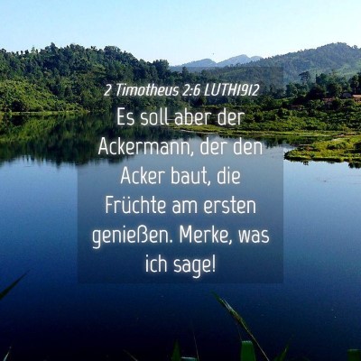 Picture 04 - 2 Timotheus 2:6 LUTH1912 - Es soll aber der Ackermann, der den Acker baut, - Bible Verse Picture