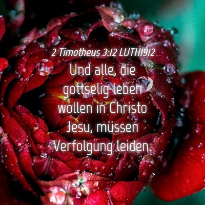 Picture 04 - 2 Timotheus 3:12 LUTH1912 - Und alle, die gottselig leben wollen in Christo - Bible Verse Picture