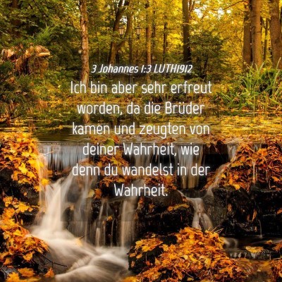 Picture 04 - 3 Johannes 1:3 LUTH1912 - Ich bin aber sehr erfreut worden, da die Brüder - Bible Verse Picture