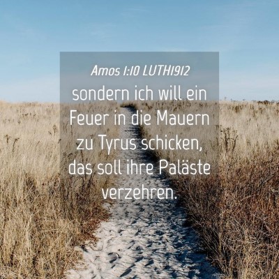 Picture 04 - Amos 1:10 LUTH1912 - sondern ich will ein Feuer in die Mauern zu Tyrus - Bible Verse Picture