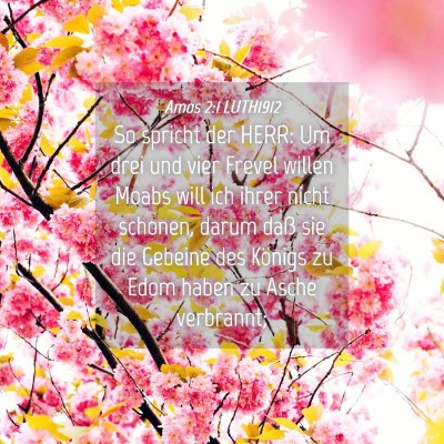 Picture 04 - Amos 2:1 LUTH1912 - So spricht der HERR: Um drei und vier Frevel - Bible Verse Picture
