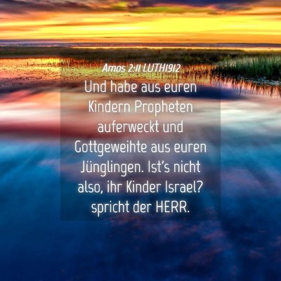 Picture 04 - Amos 2:11 LUTH1912 - Und habe aus euren Kindern Propheten auferweckt - Bible Verse Picture