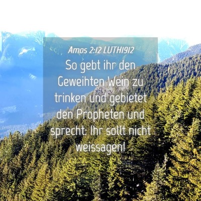 Picture 04 - Amos 2:12 LUTH1912 - So gebt ihr den Geweihten Wein zu trinken und - Bible Verse Picture