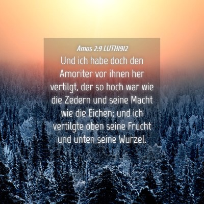 Picture 04 - Amos 2:9 LUTH1912 - Und ich habe doch den Amoriter vor ihnen her - Bible Verse Picture