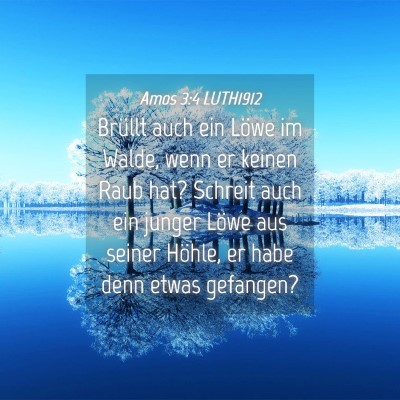 Picture 04 - Amos 3:4 LUTH1912 - Brüllt auch ein Löwe im Walde, wenn er keinen - Bible Verse Picture