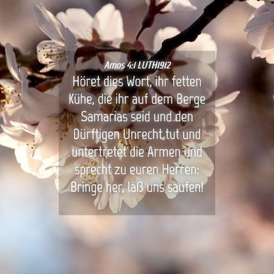 Picture 04 - Amos 4:1 LUTH1912 - Höret dies Wort, ihr fetten Kühe, die ihr auf - Bible Verse Picture