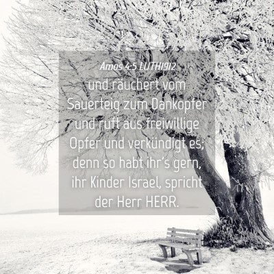 Picture 04 - Amos 4:5 LUTH1912 - und räuchert vom Sauerteig zum Dankopfer und - Bible Verse Picture