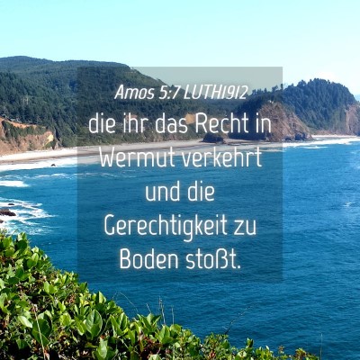 Picture 04 - Amos 5:7 LUTH1912 - die ihr das Recht in Wermut verkehrt und die - Bible Verse Picture