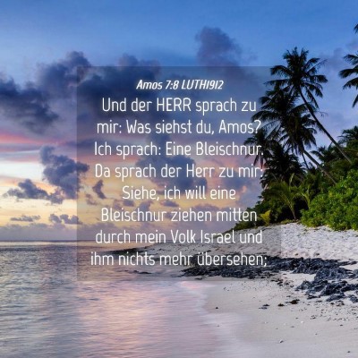 Picture 04 - Amos 7:8 LUTH1912 - Und der HERR sprach zu mir: Was siehst du, Amos? - Bible Verse Picture