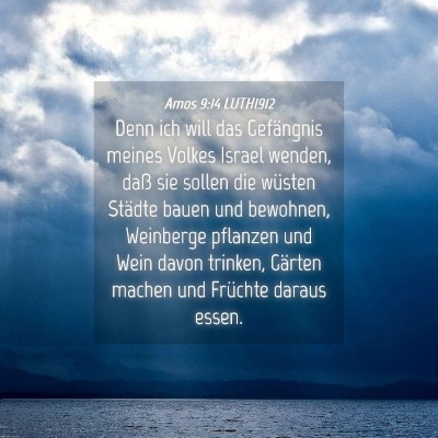 Picture 04 - Amos 9:14 LUTH1912 - Denn ich will das Gefängnis meines Volkes Israel - Bible Verse Picture