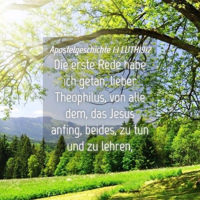 Picture 04 - Apostelgeschichte 1:1 LUTH1912 - Die erste Rede habe ich getan, lieber Theophilus, - Bible Verse Picture