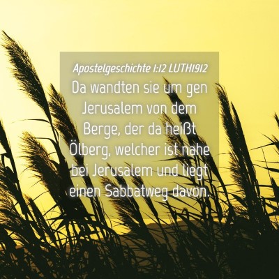 Picture 04 - Apostelgeschichte 1:12 LUTH1912 - Da wandten sie um gen Jerusalem von dem Berge, - Bible Verse Picture