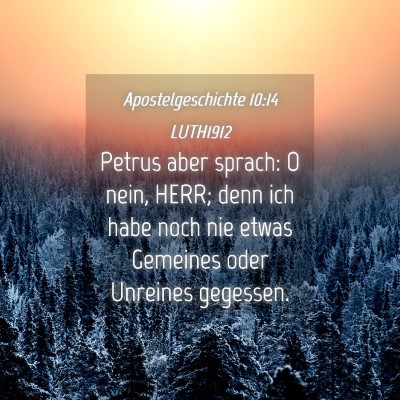 Picture 04 - Apostelgeschichte 10:14 LUTH1912 - Petrus aber sprach: O nein, HERR; denn ich habe - Bible Verse Picture