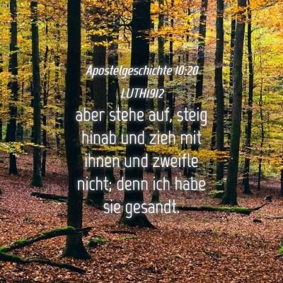 Picture 04 - Apostelgeschichte 10:20 LUTH1912 - aber stehe auf, steig hinab und zieh mit ihnen - Bible Verse Picture
