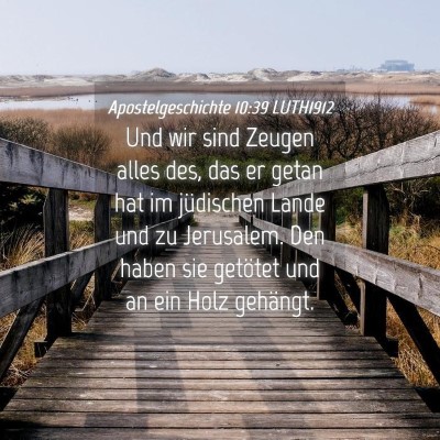 Picture 04 - Apostelgeschichte 10:39 LUTH1912 - Und wir sind Zeugen alles des, das er getan hat - Bible Verse Picture