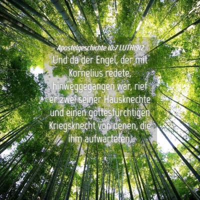 Picture 04 - Apostelgeschichte 10:7 LUTH1912 - Und da der Engel, der mit Kornelius redete, - Bible Verse Picture