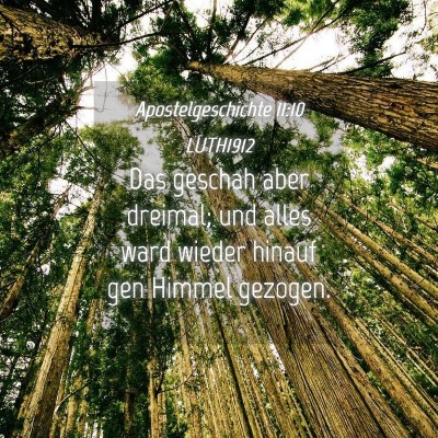 Picture 04 - Apostelgeschichte 11:10 LUTH1912 - Das geschah aber dreimal; und alles ward wieder - Bible Verse Picture