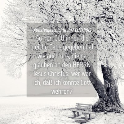 Picture 04 - Apostelgeschichte 11:17 LUTH1912 - So nun Gott ihnen die gleiche Gabe gegeben hat - Bible Verse Picture