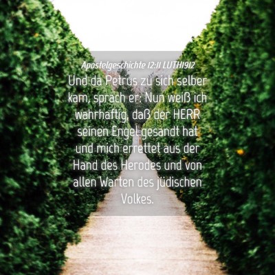 Picture 04 - Apostelgeschichte 12:11 LUTH1912 - Und da Petrus zu sich selber kam, sprach er: Nun - Bible Verse Picture