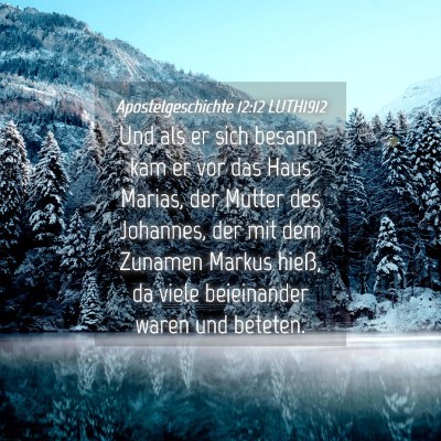 Picture 04 - Apostelgeschichte 12:12 LUTH1912 - Und als er sich besann, kam er vor das Haus - Bible Verse Picture
