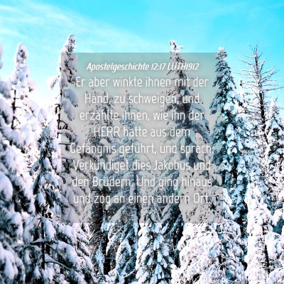 Picture 04 - Apostelgeschichte 12:17 LUTH1912 - Er aber winkte ihnen mit der Hand, zu schweigen, - Bible Verse Picture