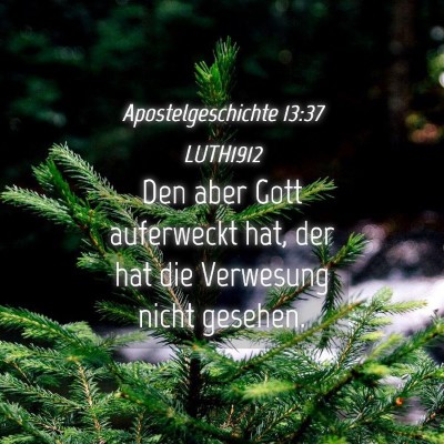 Picture 04 - Apostelgeschichte 13:37 LUTH1912 - Den aber Gott auferweckt hat, der hat die - Bible Verse Picture