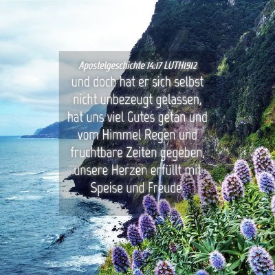 Picture 04 - Apostelgeschichte 14:17 LUTH1912 - und doch hat er sich selbst nicht unbezeugt - Bible Verse Picture