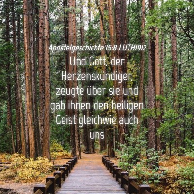 Picture 04 - Apostelgeschichte 15:8 LUTH1912 - Und Gott, der Herzenskündiger, zeugte über sie - Bible Verse Picture