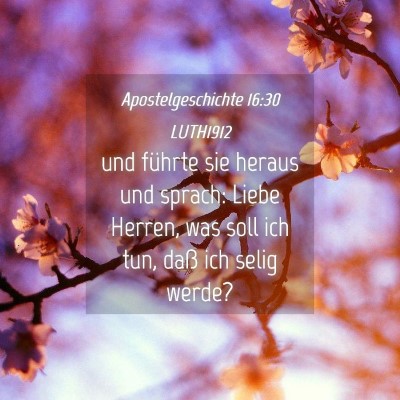 Picture 04 - Apostelgeschichte 16:30 LUTH1912 - und führte sie heraus und sprach: Liebe Herren, - Bible Verse Picture