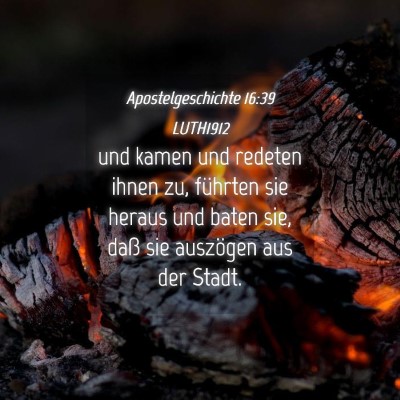 Picture 04 - Apostelgeschichte 16:39 LUTH1912 - und kamen und redeten ihnen zu, führten sie - Bible Verse Picture