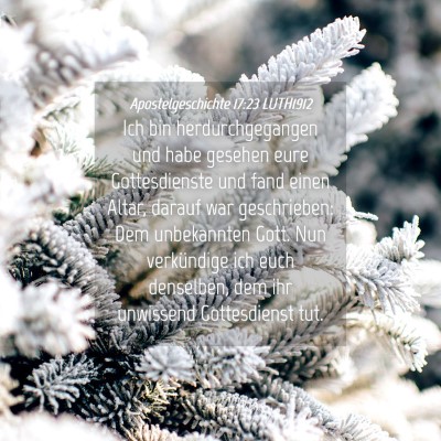 Picture 04 - Apostelgeschichte 17:23 LUTH1912 - Ich bin herdurchgegangen und habe gesehen eure - Bible Verse Picture